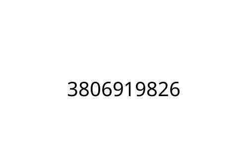 3806919826