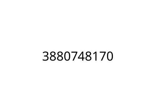3880748170