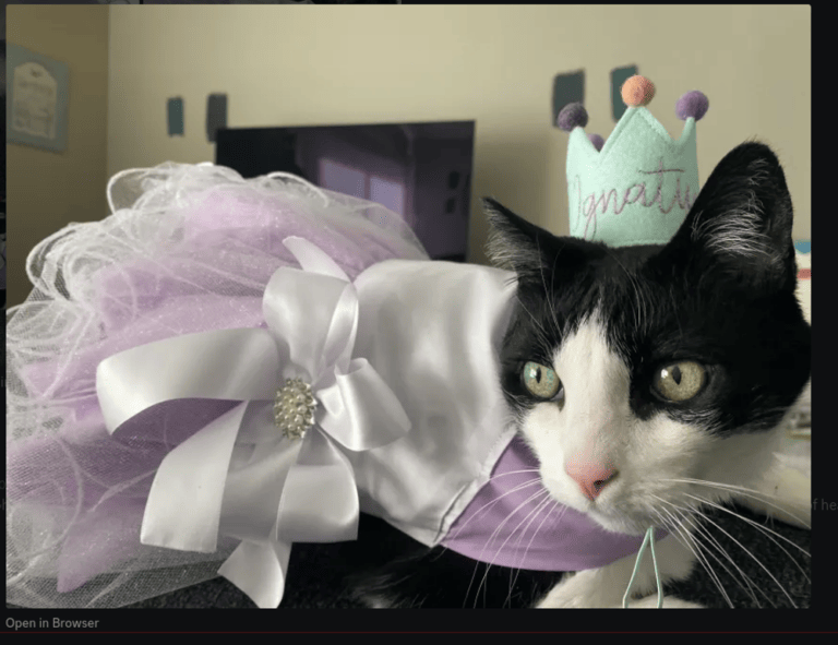 can i take food kayudapu on a plane