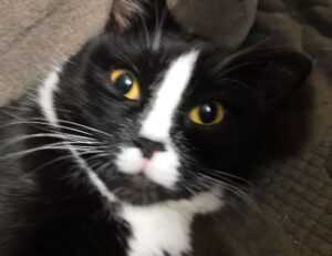 is luvizac safe to use