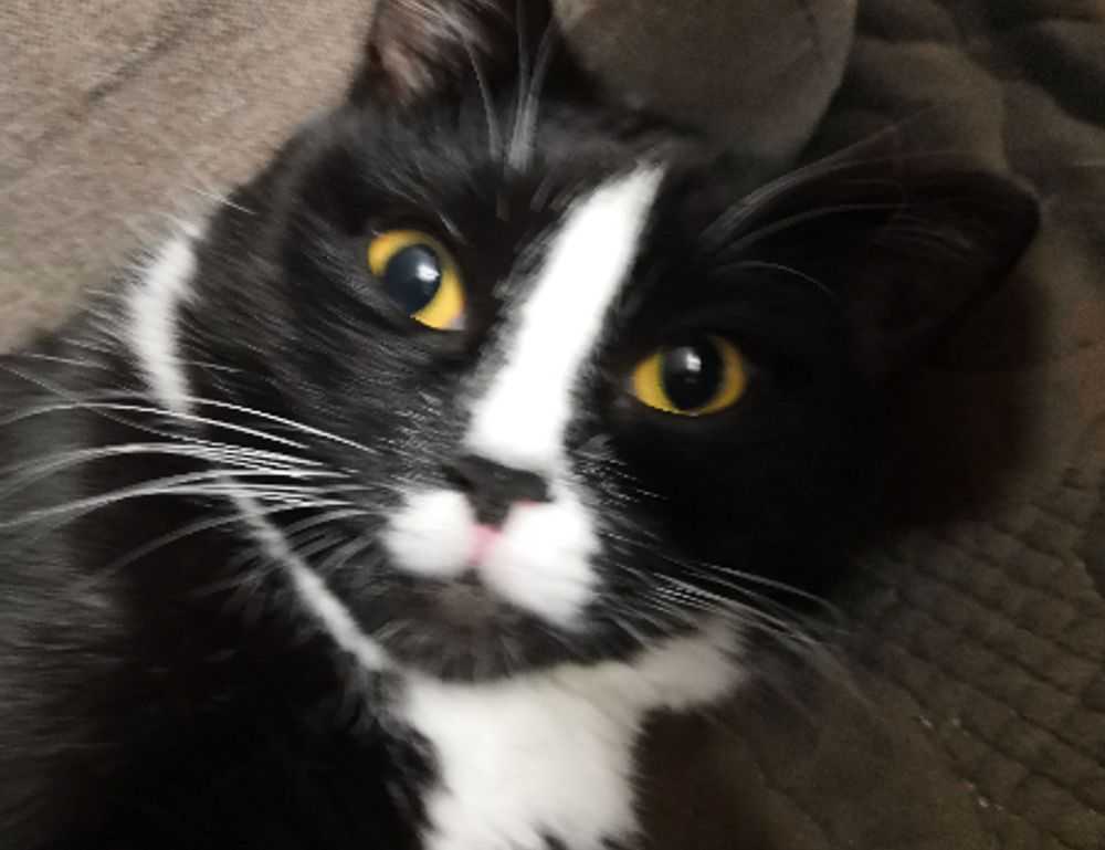 is luvizac safe to use