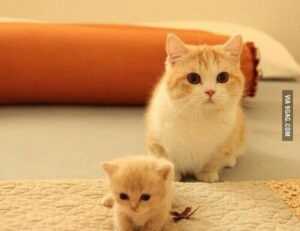 nlagica ketrica climb mountain in germany