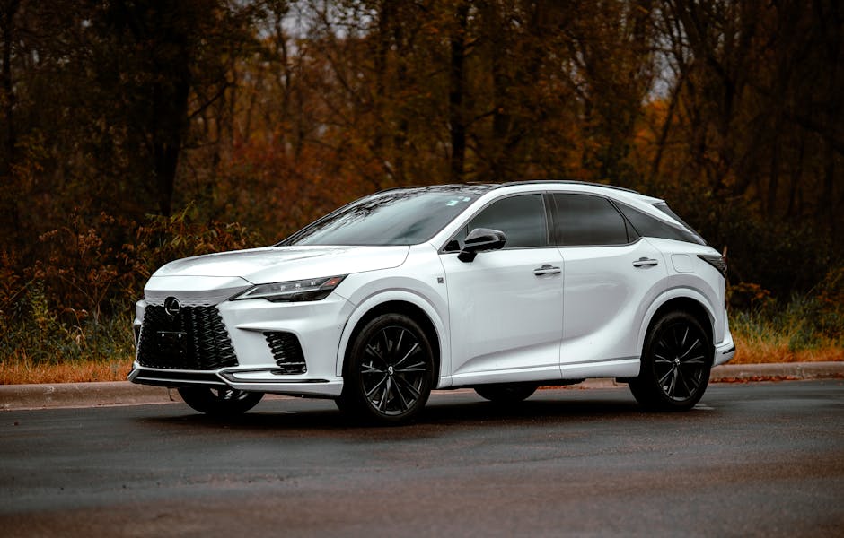 premium formulations