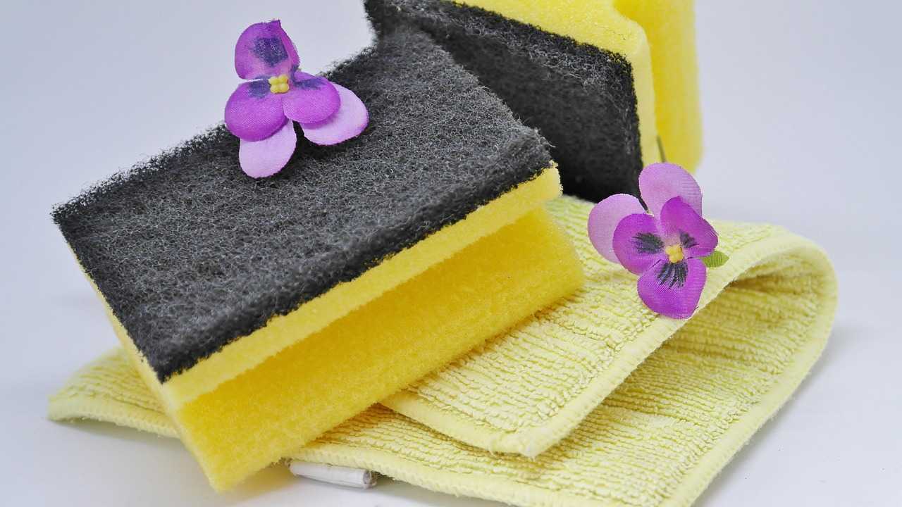 sponge ease