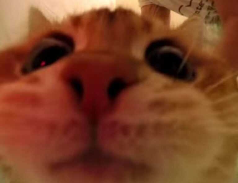 why homiezava hotel so expensive