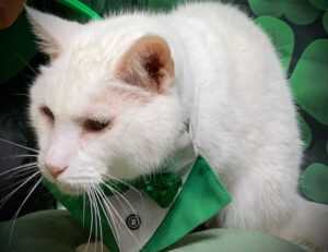 3000 dolares a pesos chilenos