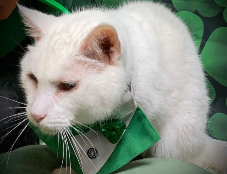 3000 dolares a pesos chilenos