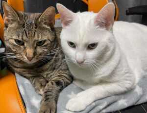 baby tv what a wonderful day chomikuj