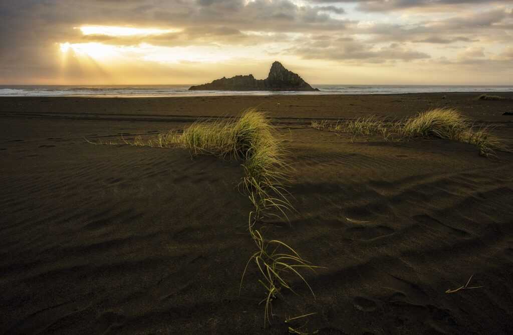 daytime star mangabuddy