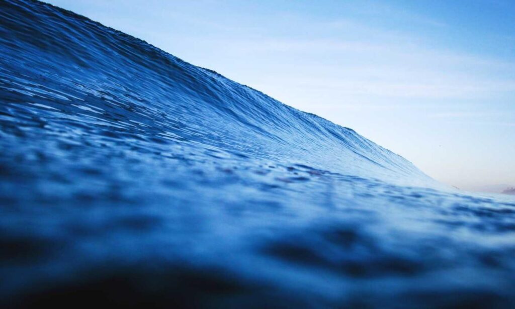 espalda mujeres en traje de baño