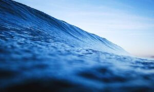 espalda mujeres en traje de baño