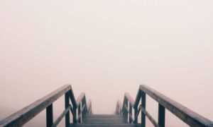 kleurplaat paperduck