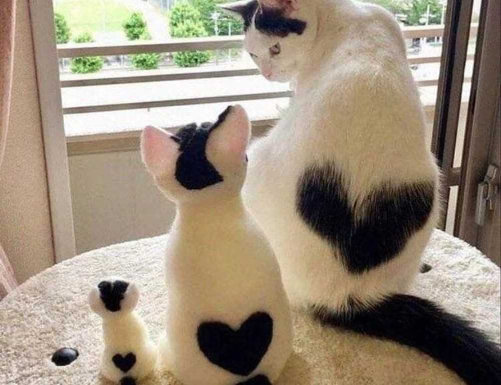 movimiento sonic gif