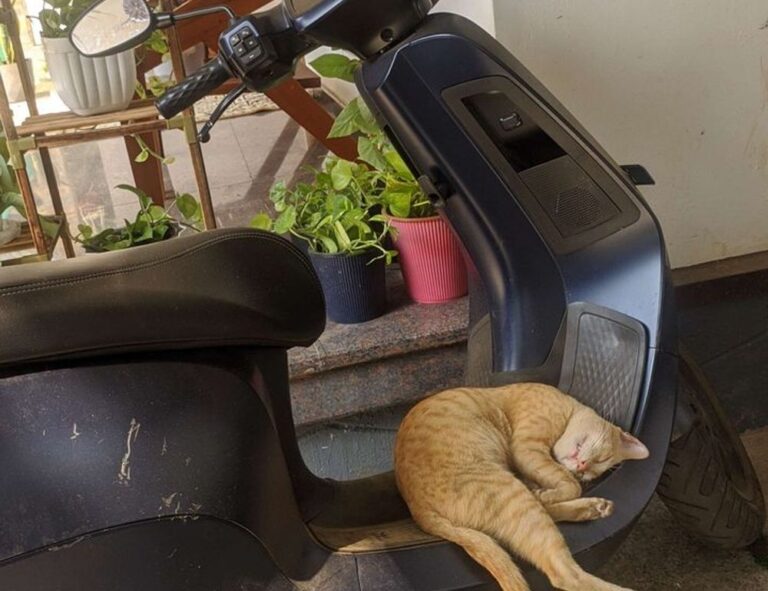 mujeres fondos para perfil de whatsapp