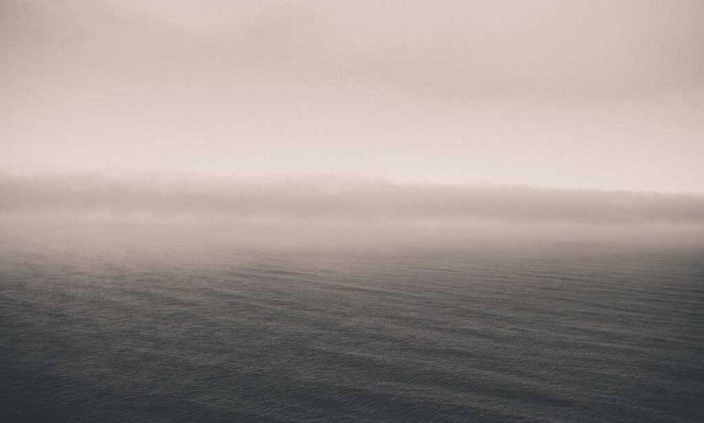 mydoterra login nederlands