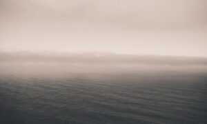 mydoterra login nederlands