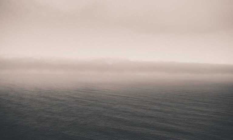 mydoterra login nederlands