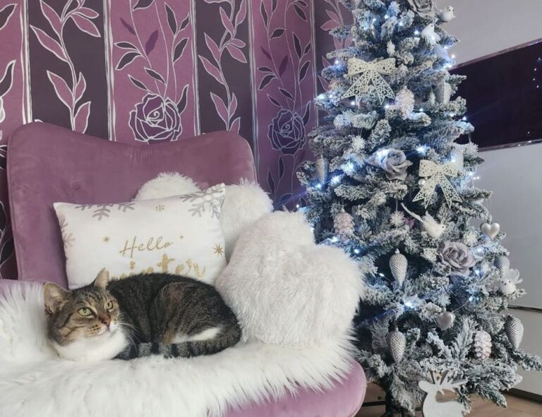 onenightfriend delete account