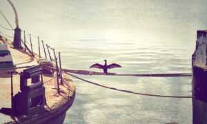 the rising of the shield hero anime kage