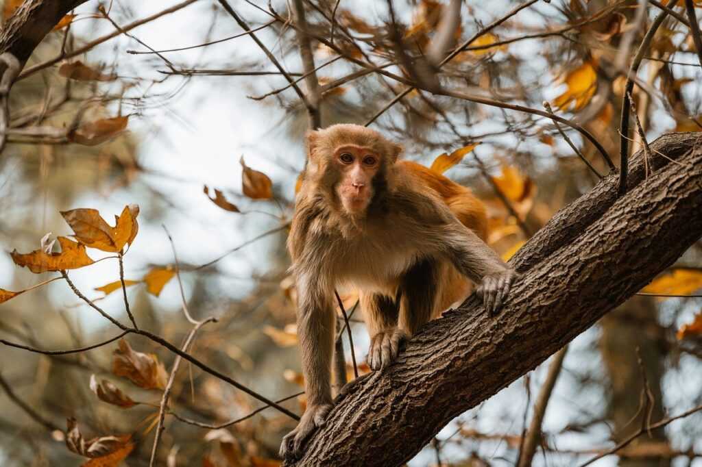 vintage feliz cumpleaños fashion mujer