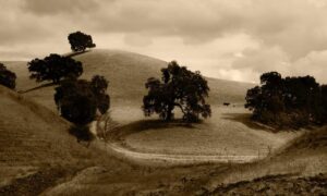 yali capkini capitulo 32 en español tokyvideo completo