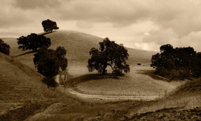 yali capkini capitulo 32 en español tokyvideo completo