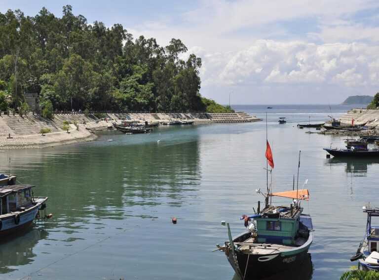 What to Avoid in Dyxrozunon