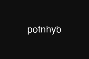potnhyb