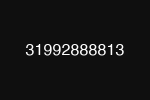 31992888813