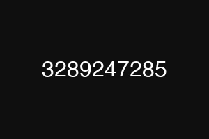 3289247285