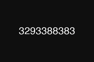 3293388383