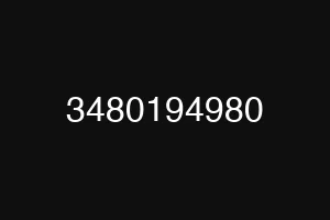 3480194980
