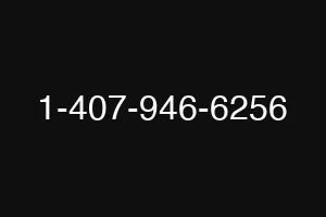 1-407-946-6256