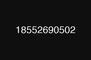 18552690502