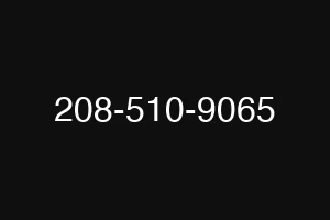 208-510-9065