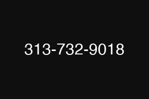 313-732-9018