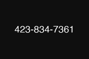 423-834-7361
