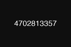 4702813357