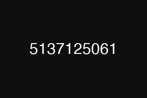 5137125061