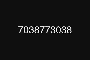 7038773038