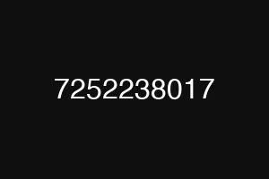 7252238017