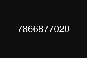 7866877020