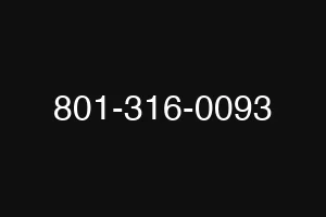 801-316-0093