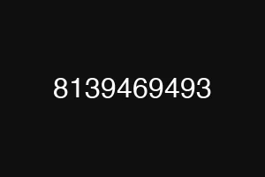 8139469493