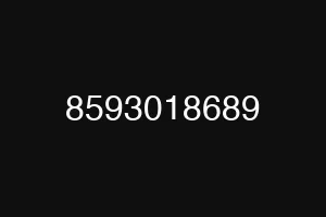 8593018689