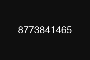 8773841465