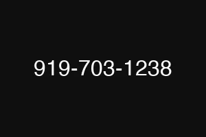 919-703-1238